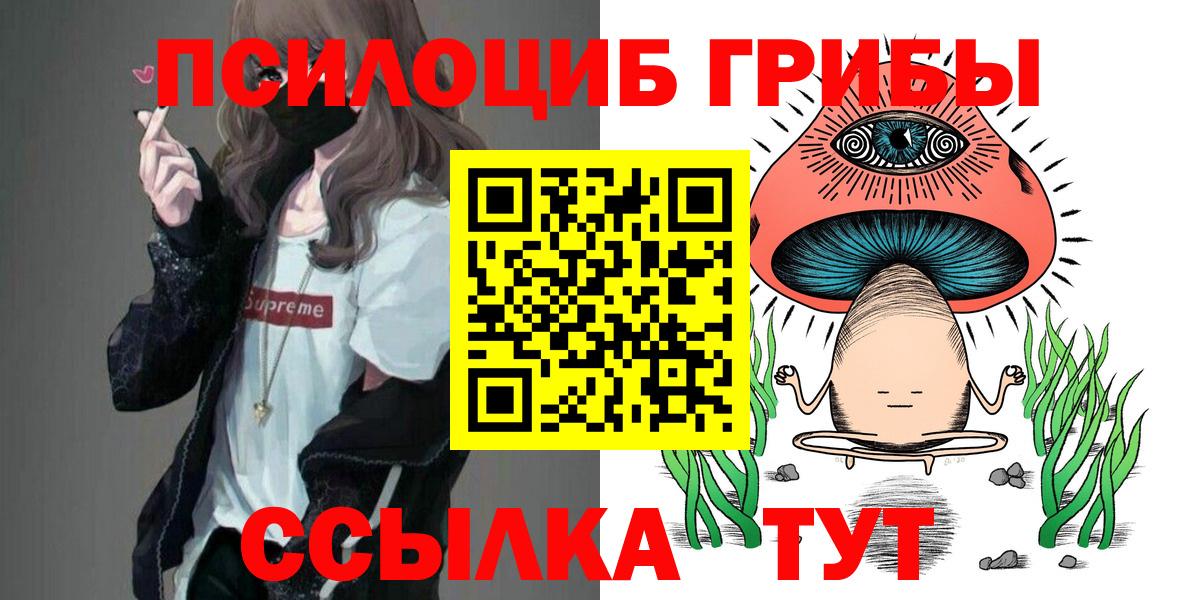 Ефремов  Галлюциногенные грибы мухоморы  Вход с VPN  Галлюциногенные грибы прущие грибы 